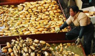 武汉白沙洲市场 武汉白沙洲市场