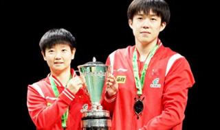 乒乓球世界杯赛事